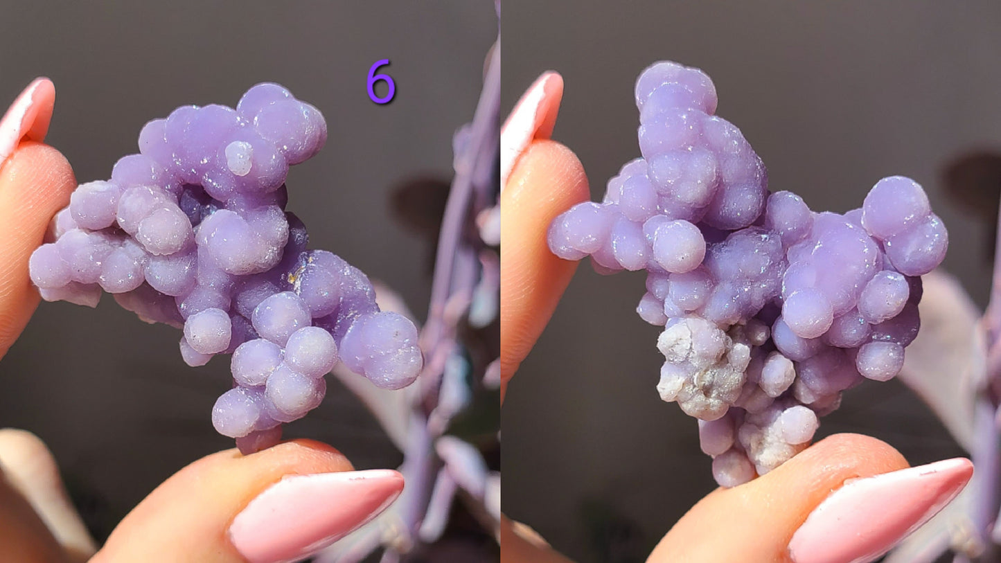 Grape Agate specimen - by piece or random, Rare